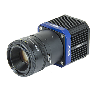 29 Megapixel CCD T6640 Tiger Camera Image