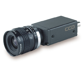 1/2 CCD，交错，单声道，紧凑型摄像机图像