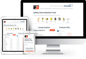 Safety Valve Selection Tool Image