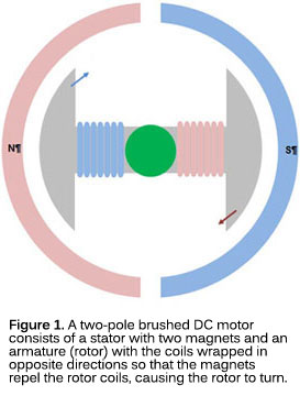 图1。双极有刷直流电机由一个定子和一个电枢（转子）组成，定子和电枢（转子）的线圈缠绕方向相反，因此磁铁排斥转子线圈，从而使转子转动。