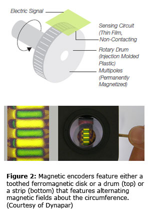 图2:磁编码器的特征要么是一个有齿的铁磁盘或一个鼓(顶部)，要么是一个带(底部)，其周长有交变磁场。(由Dynapar)