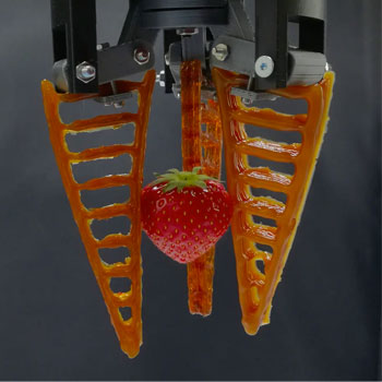 水果采摘的协作机器人
