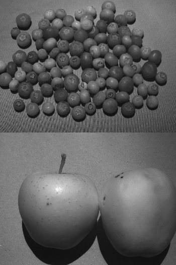 来自JAI的多光谱相机提供了检查水果的能力，如蓝莓和申请质量。