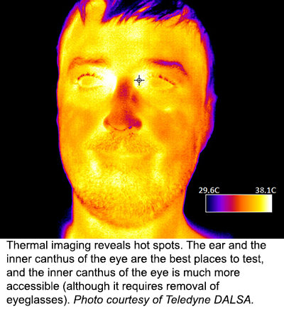 热成像显示出热点。眼睛的耳朵和内部晕厥是最佳的测试场所，眼睛的内部晕厥更容易进入（尽管它需要去除眼镜）。照片由Teledyne Dalsa提供。
