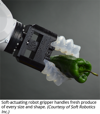 软驱动机器人抓手处理各种大小和形状的新鲜农产品。(由Soft Robotics Inc.提供)